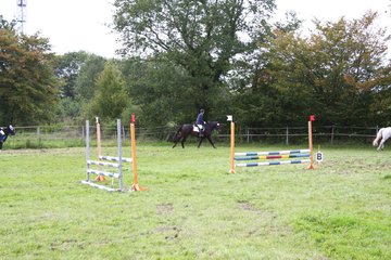 Bild 1402 - WBO-Turnier am 18.9.11